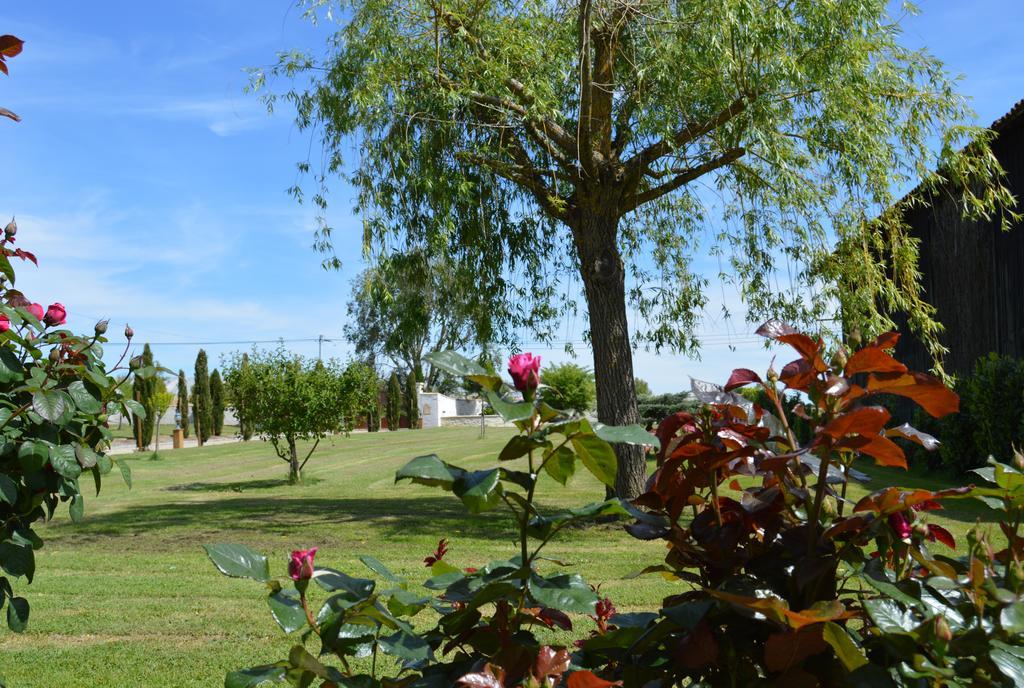 Le Coteau De Bazeille Sauna&Detente Sas Sainte-Bazeille المظهر الخارجي الصورة