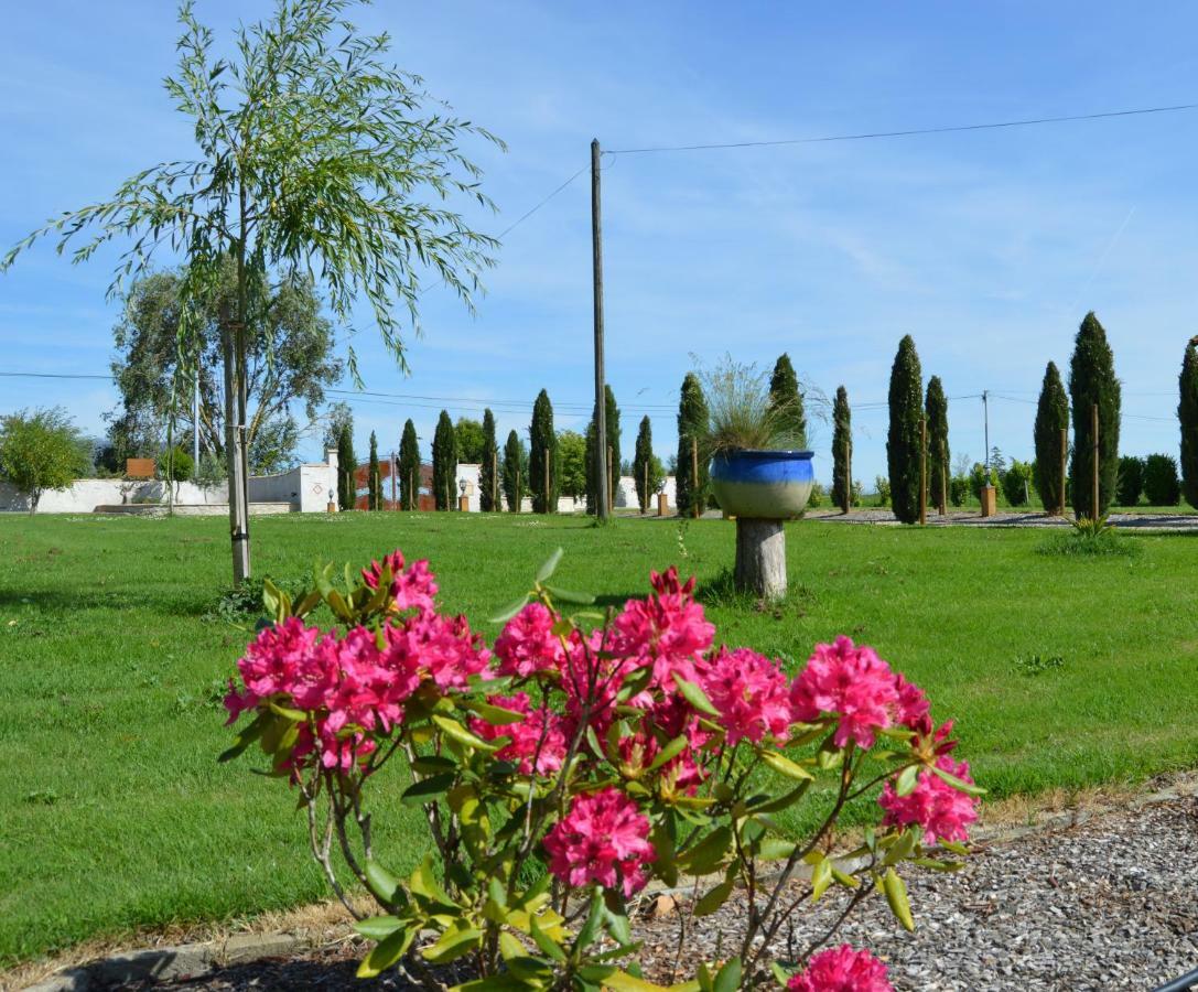 Le Coteau De Bazeille Sauna&Detente Sas Sainte-Bazeille المظهر الخارجي الصورة